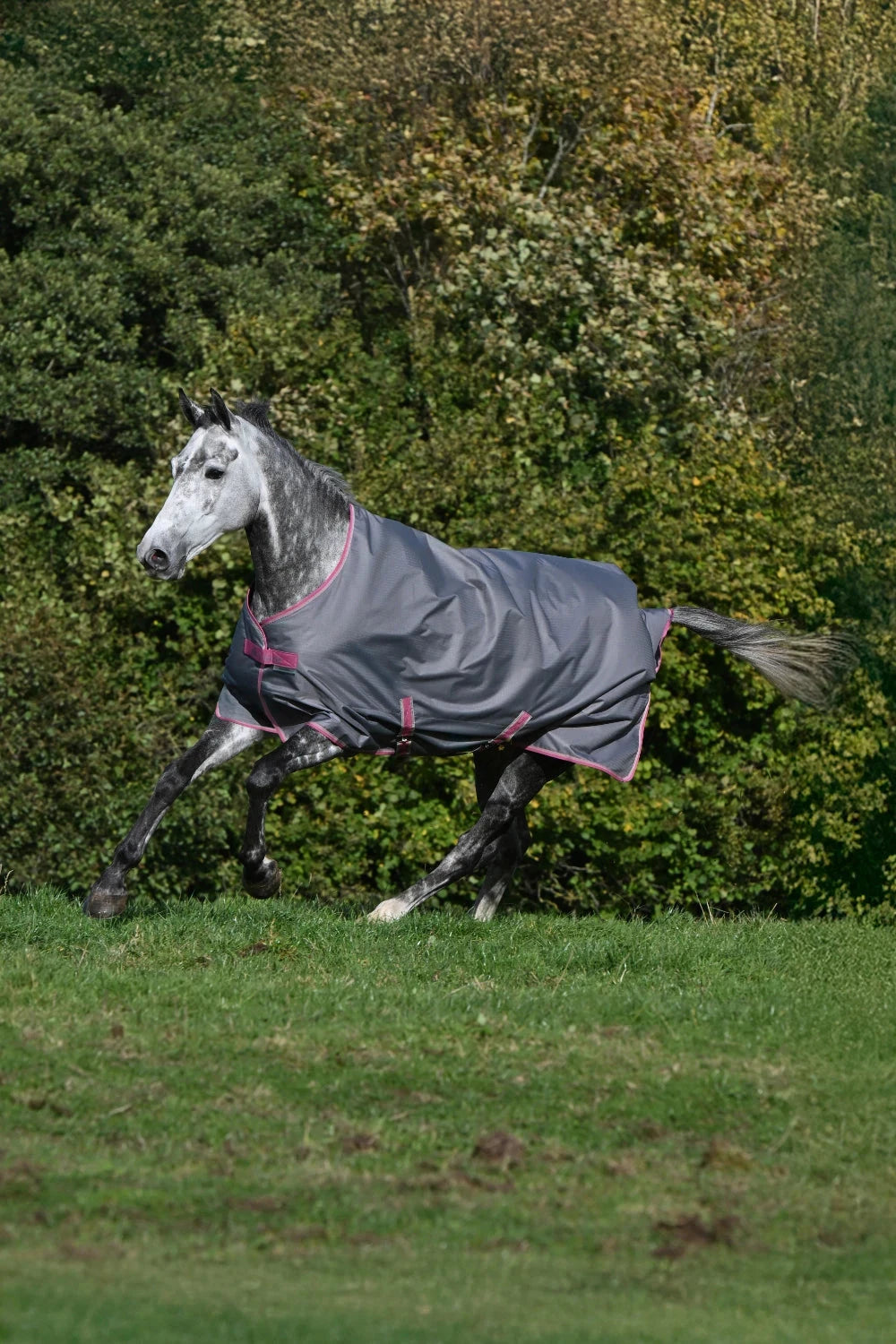 Derka padokowa Bucas Freedom T/O 150g - Cavalo